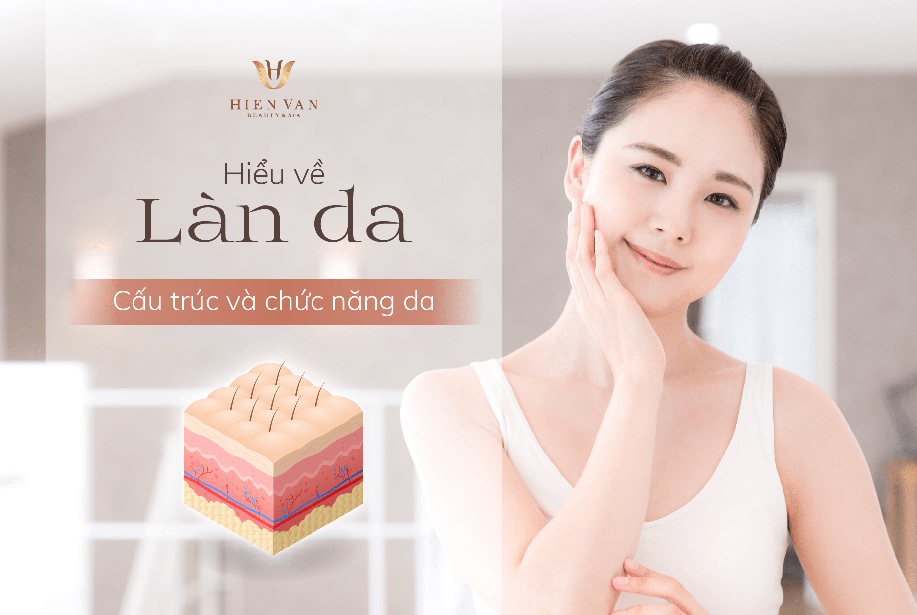 Cấu trúc và chức năng của làn da dưới lăng kính khoa học